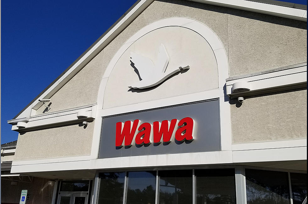 Wawa, Short on Change, Giving Away Shortis for a Year