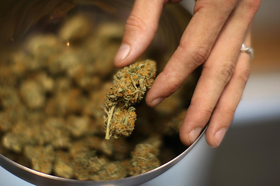 Latest Bid to Complete Pot Legalization Drops Fines for Minors