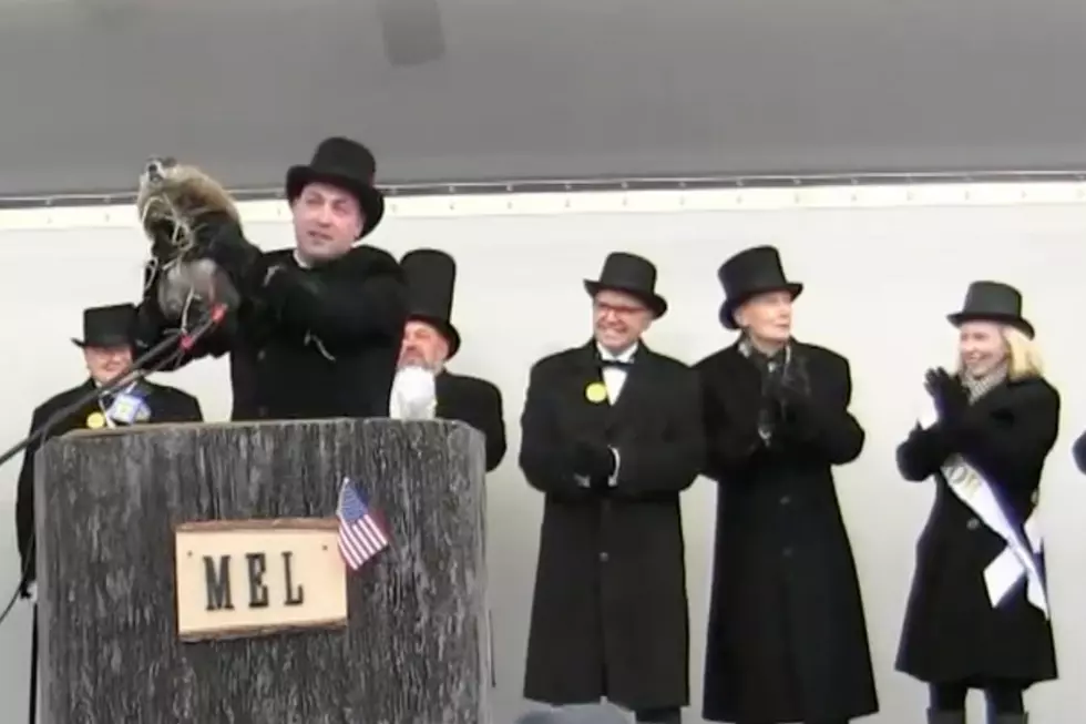 Move over Phil: Milltown Mel & more in NJ on Groundhog’s Day 2020