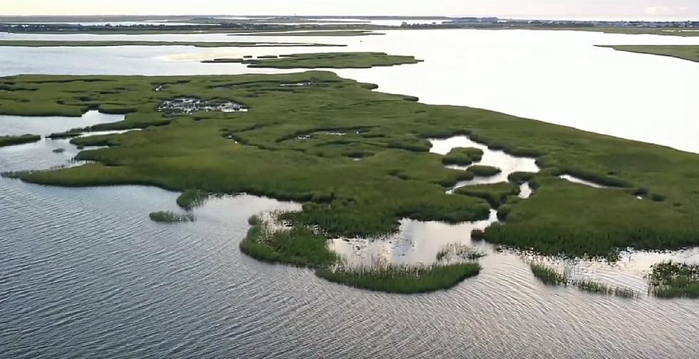 You can buy this private island in NJ