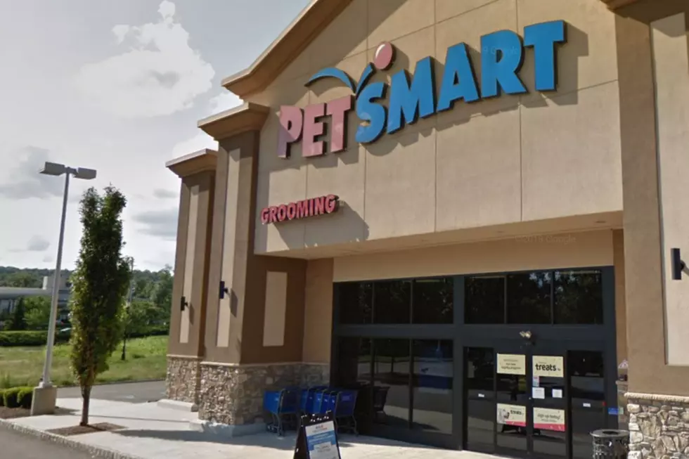 NJ woman says sorry for blaming PetSmart for her bulldog's death