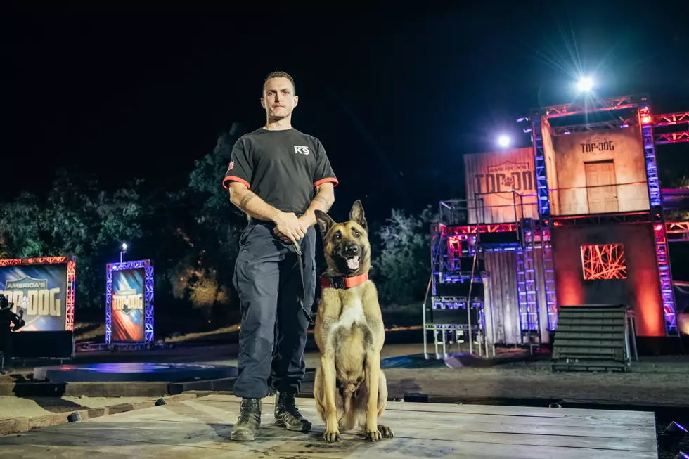 NJ police K-9 teams to appear on ‘America’s Top Dog’ TV competition