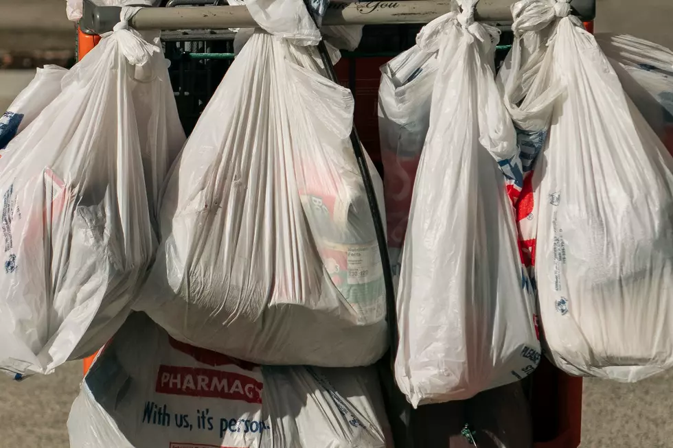 11 great uses for plastic bags that’ll soon be banned in NJ (Opinion)