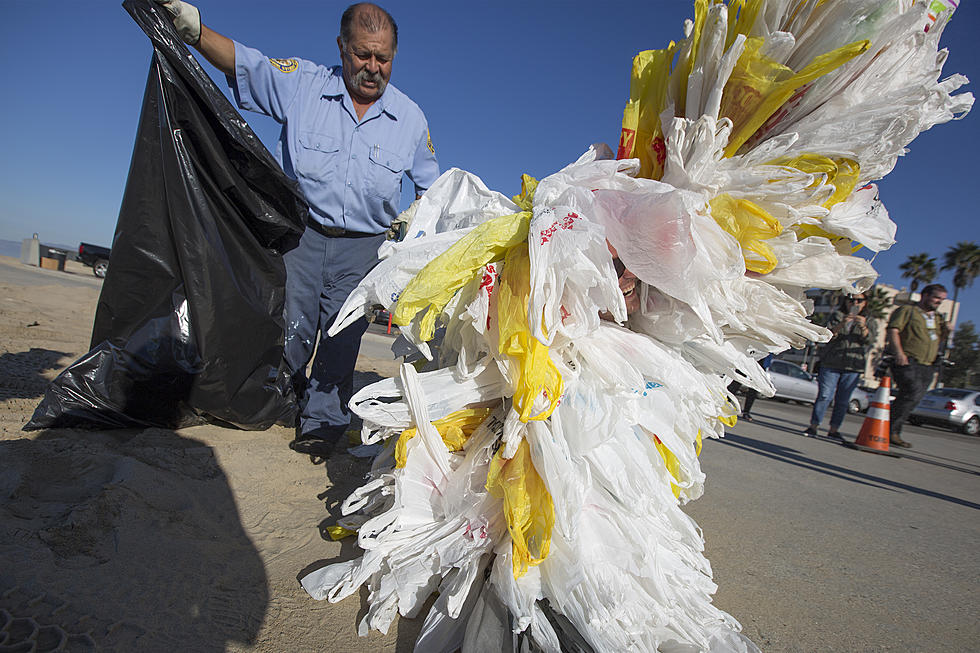It looks like the plastic bag ban is back — why make us wait? (Opinion)