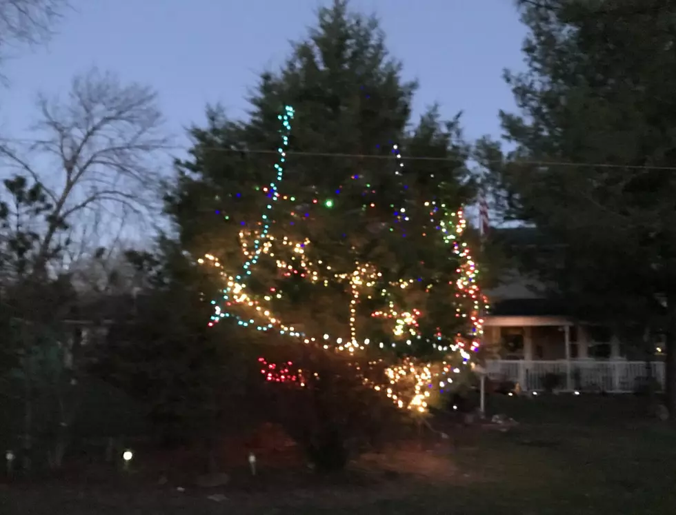 It’s Christmas in Craig Allen’s neighborhood