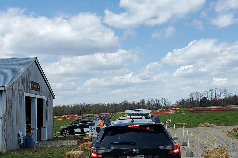 NJ tulip farms during COVID-19: OK to buy from, not to drive through