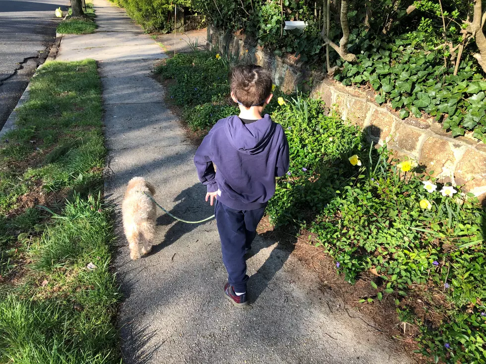 Learning to keep control - The Leash