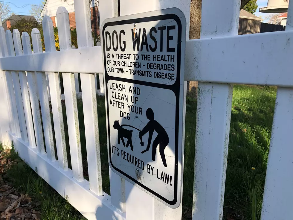 The signs are everywhere