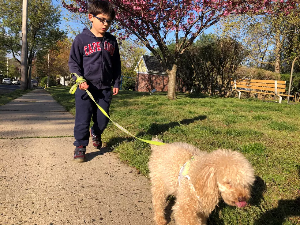 A few things to be mindful of while walking your dog with kids (Opinion)