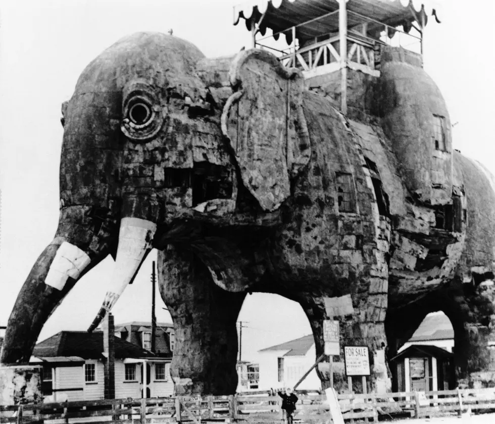 Lucy the Elephant — The Margate landmark that reinvented herself