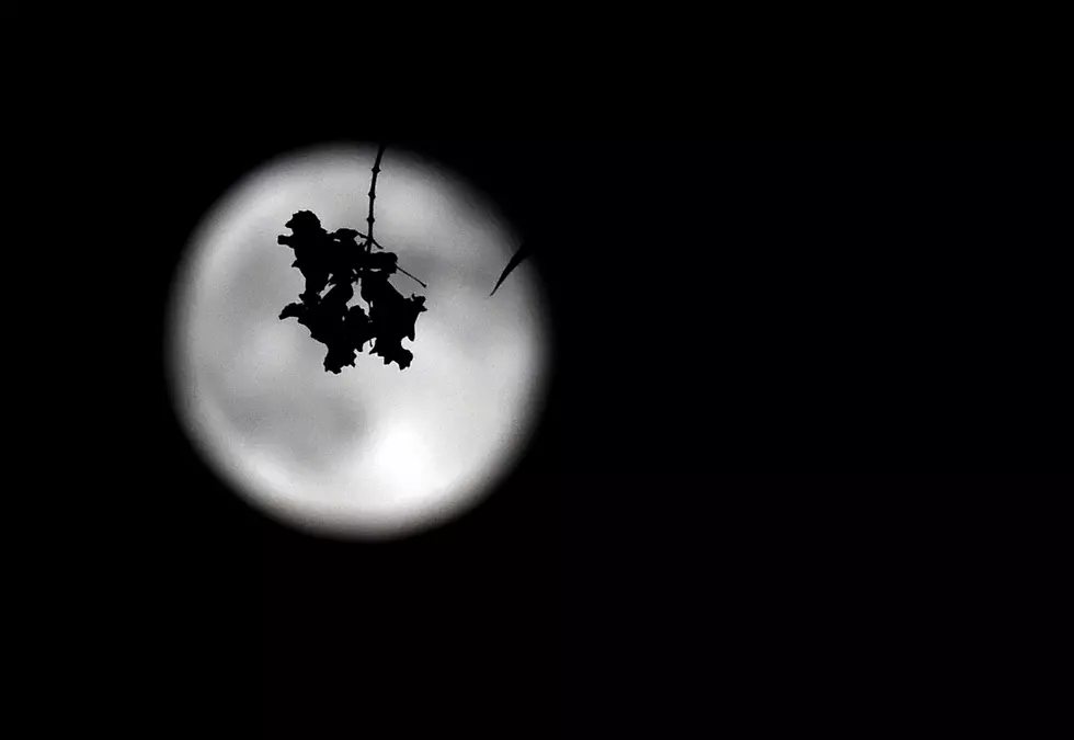 This year’s final supermoon is a flower moon