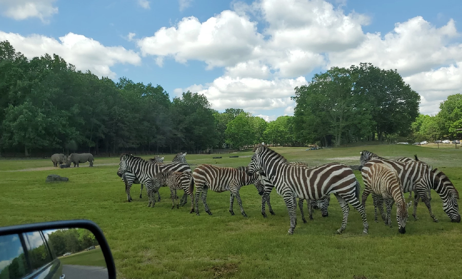 six flags safari open hours