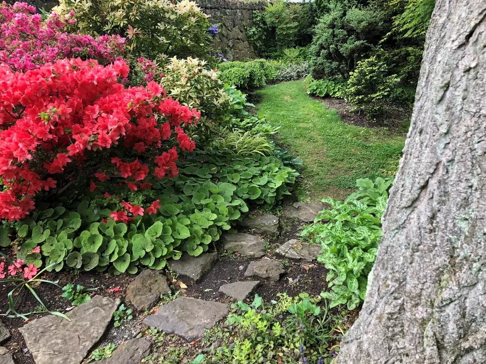 Exploring New Jersey parks: Deep Cut Gardens