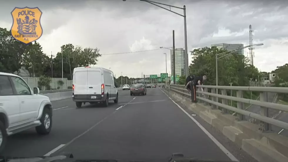 East Brunswick cops' death-defying courage on Turnpike overpass