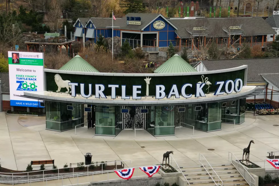 Zoos, Battleship NJ, parks — Lots of NJ attractions reopening