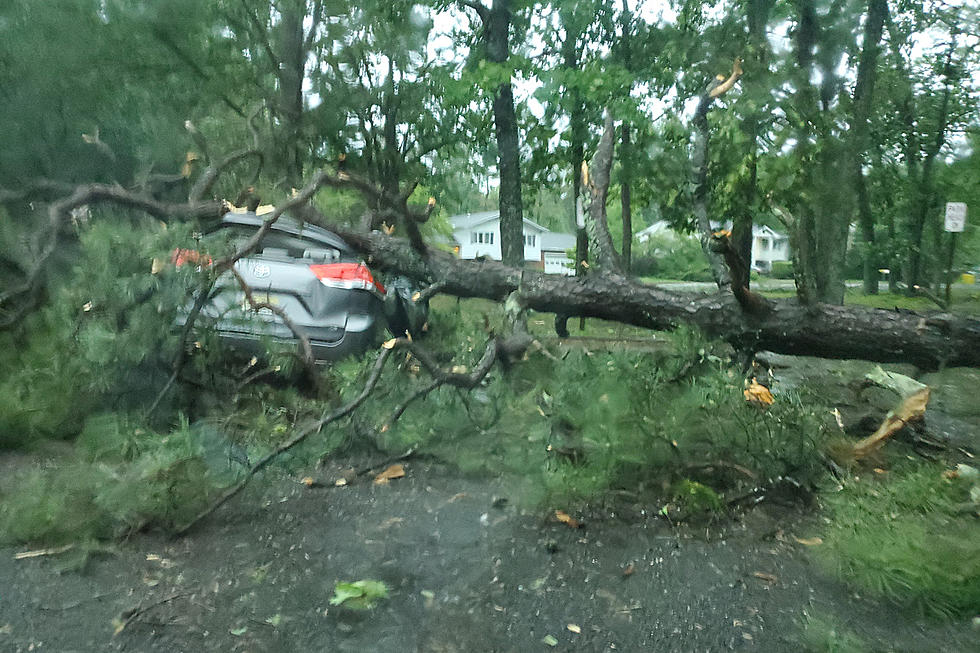 Hot and wet in NJ : Storms knock down trees, knock out power