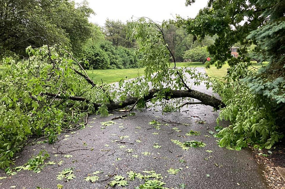 Hot and wet in NJ : Storms knock down trees, knock out power