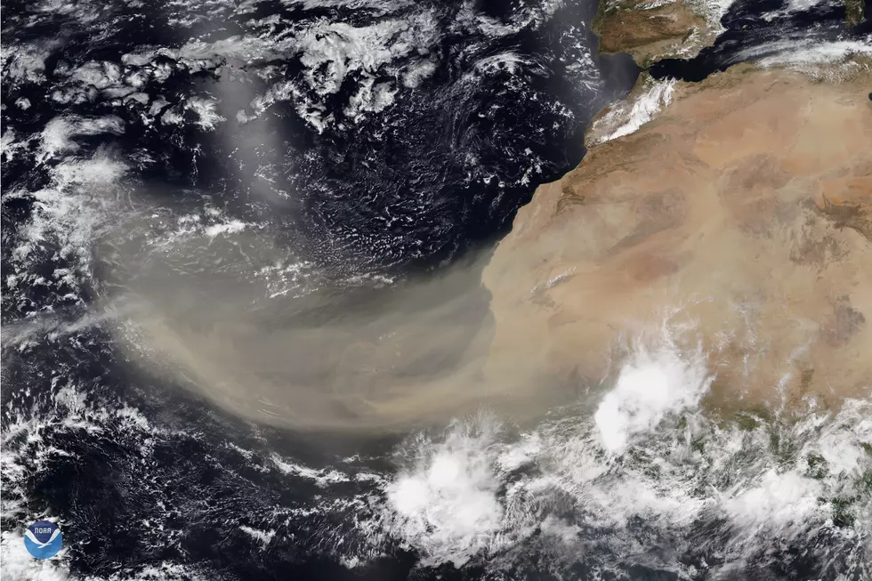 Dust from the Sahara stretching across the Atlantic: 5 impacts in NJ