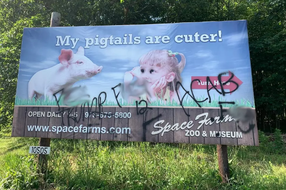GOP official worries 'Antifa' behind vandalism of his billboard