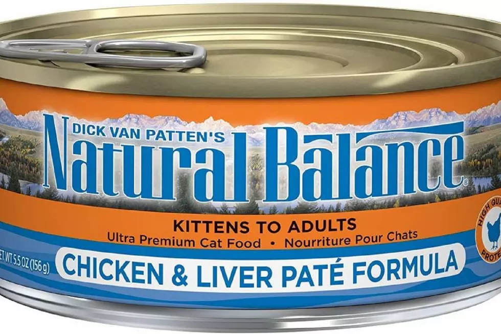 Cat food sold in NJ had potentially deadly amounts of additive
