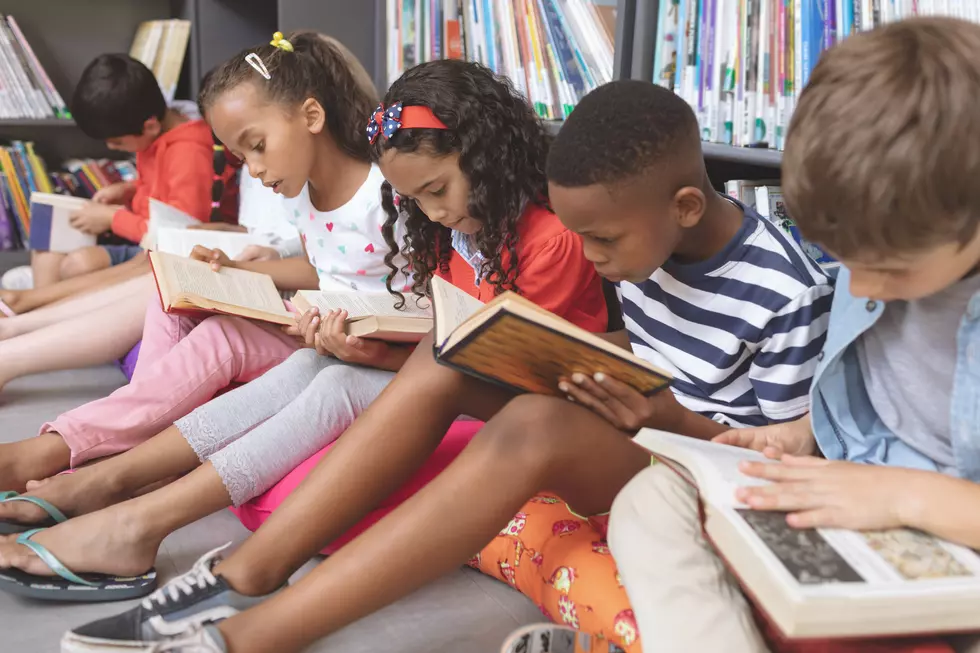 NJ lawmakers worried about ‘anti-racist’ indoctrination want school library ‘transparency’