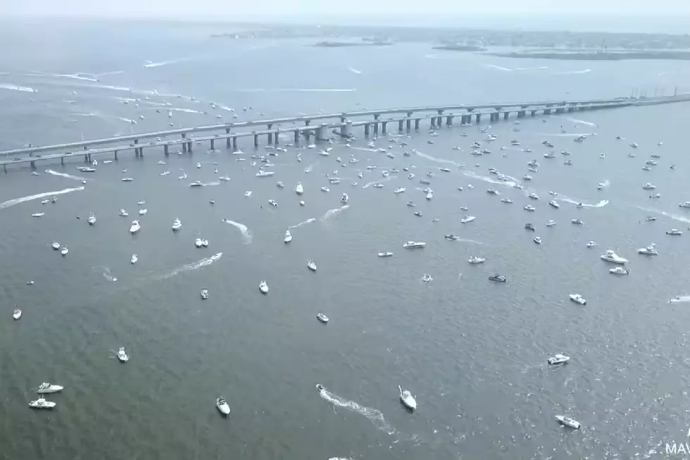 Hundreds of boaters support Trump, tell cops &#8216;we have your back&#8217;