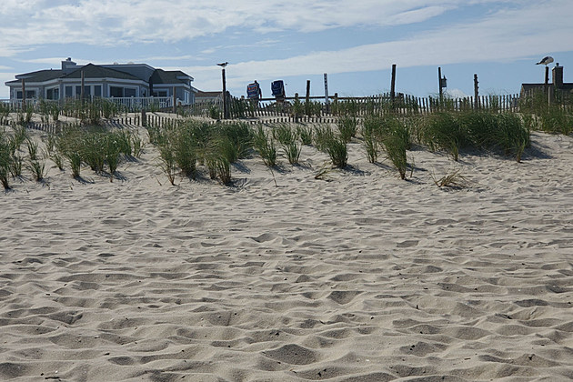 Jersey Shore Report for Sunday, August 30, 2020