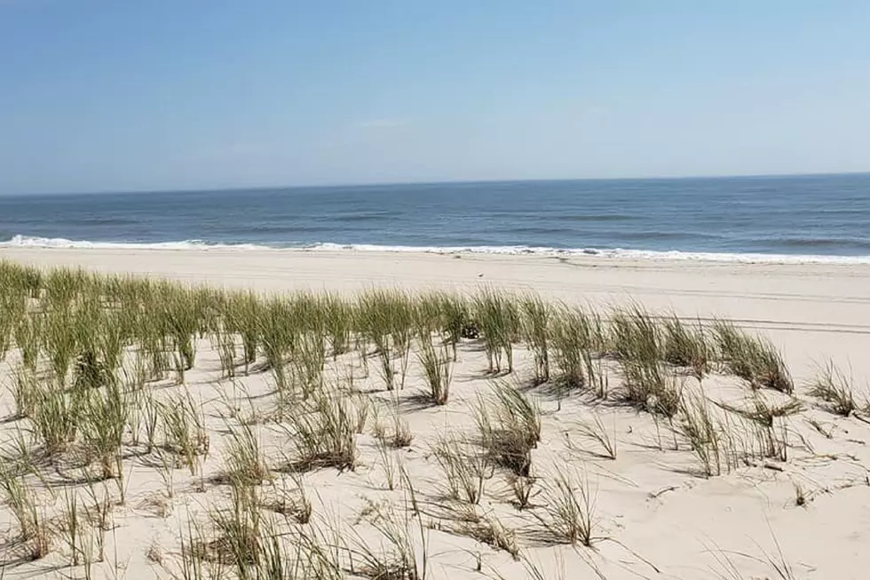 Sea Lice Are Back On Jersey Beaches