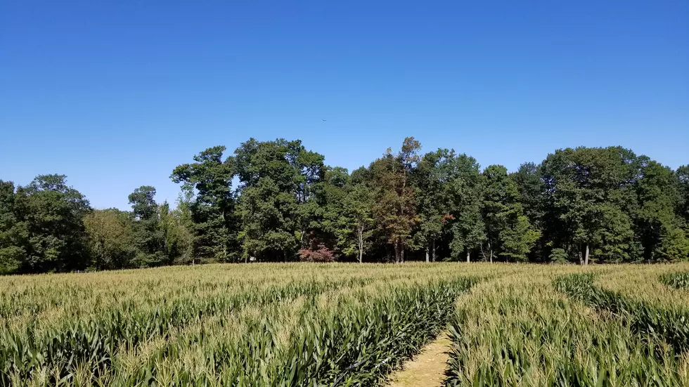 Tuesday NJ weather: Falling into fall with rising temperatures