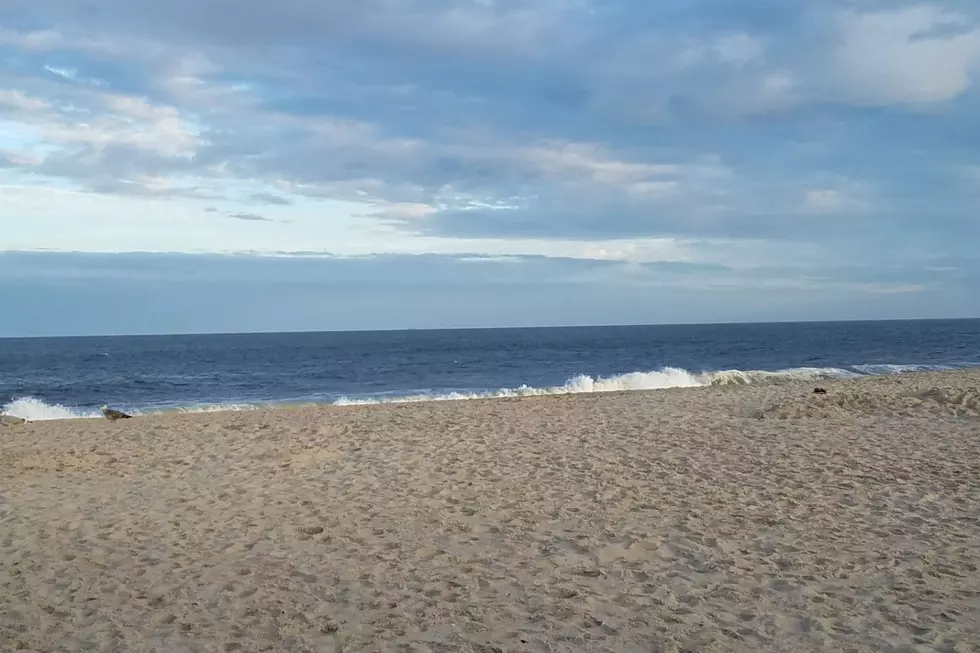 Jersey Shore Report for Sunday, September 27, 2020