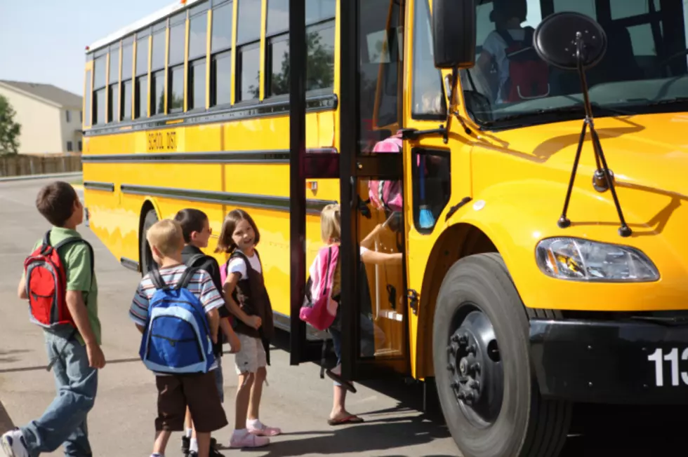 When to stop for a school bus: Fines start at $100