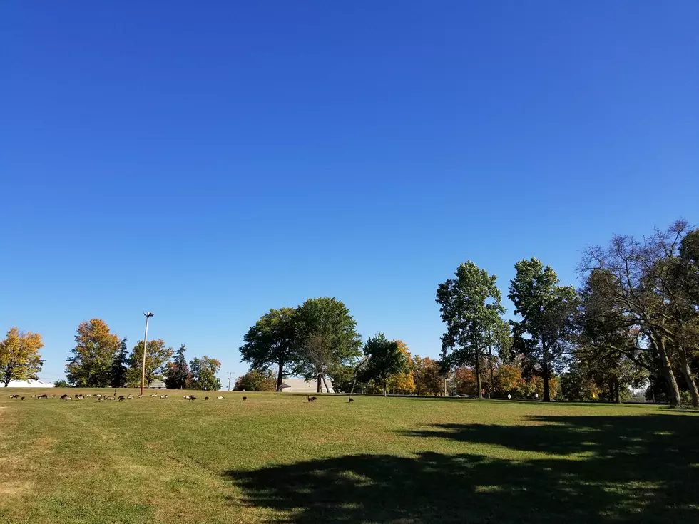 Wednesday NJ weather: First of two A+ days, before end-of-week soaker