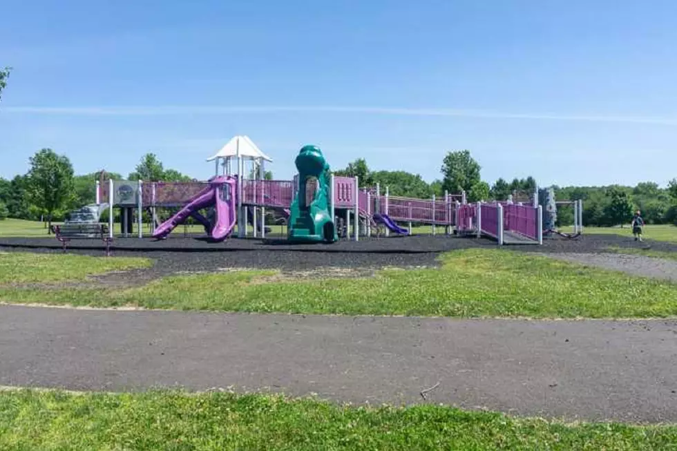 Howell shut down all parks over large crowds