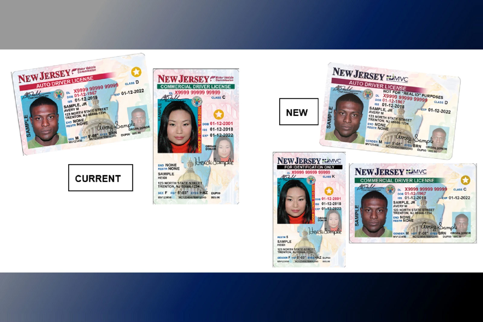 different types of licenses in nj