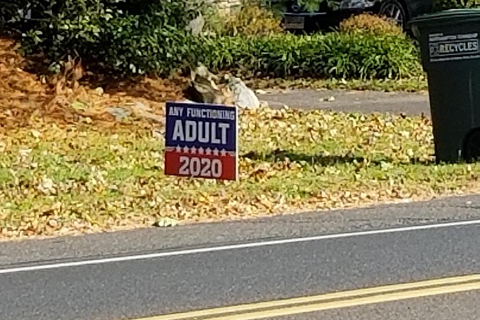 Still seeing campaign signs? NJ lets towns decide on removal time