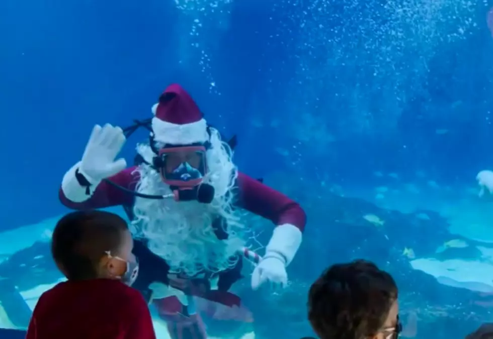 Adventure Aquarium is offering a visit with Scuba Santa