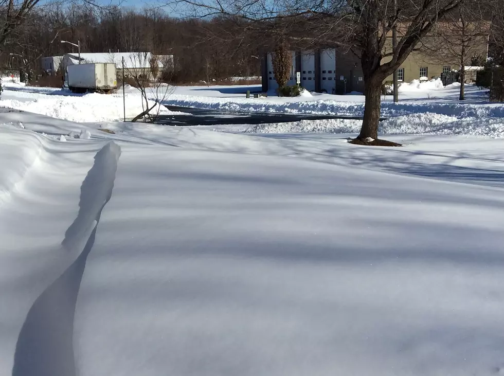 Fresh NJ snow can be turned into homemade ice cream