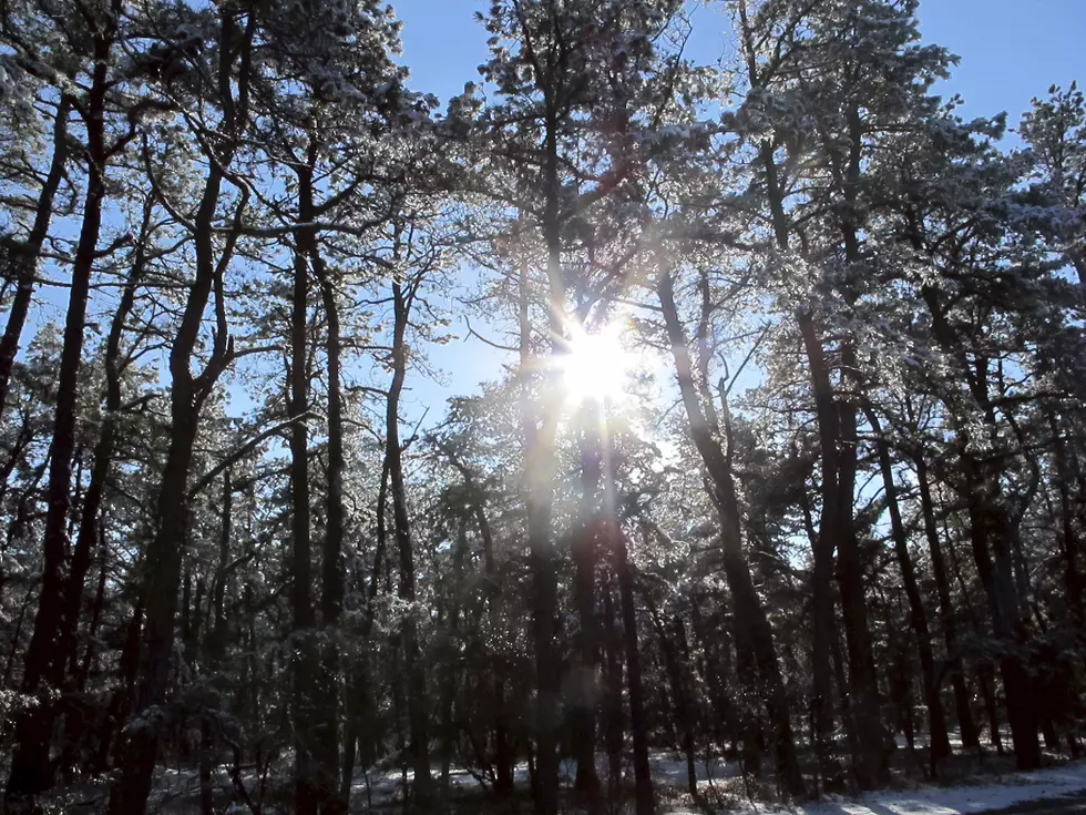 After 84 hours of precipitation, NJ finally gets a sunny, dry day