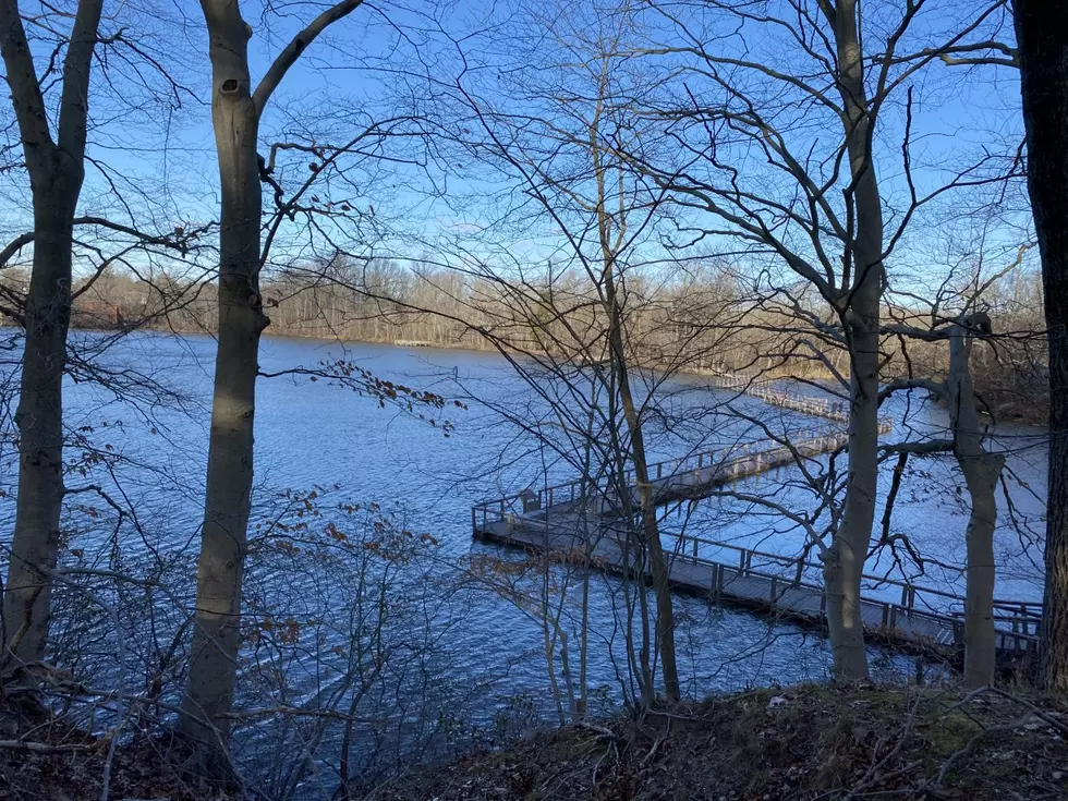 The perfect remedy for cabin fever ⁠— New Jersey county parks