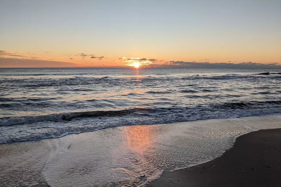 Jersey Shore Report for Friday, May 21, 2021