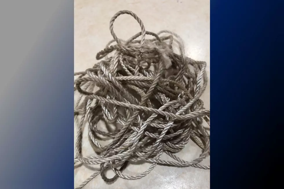 Fair Lawn noose mystery solved? Woman relieved she wasn&#8217;t targeted