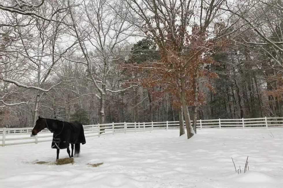 Snowfall Totals By Town Central Jersey S Turn To Get Dumped On