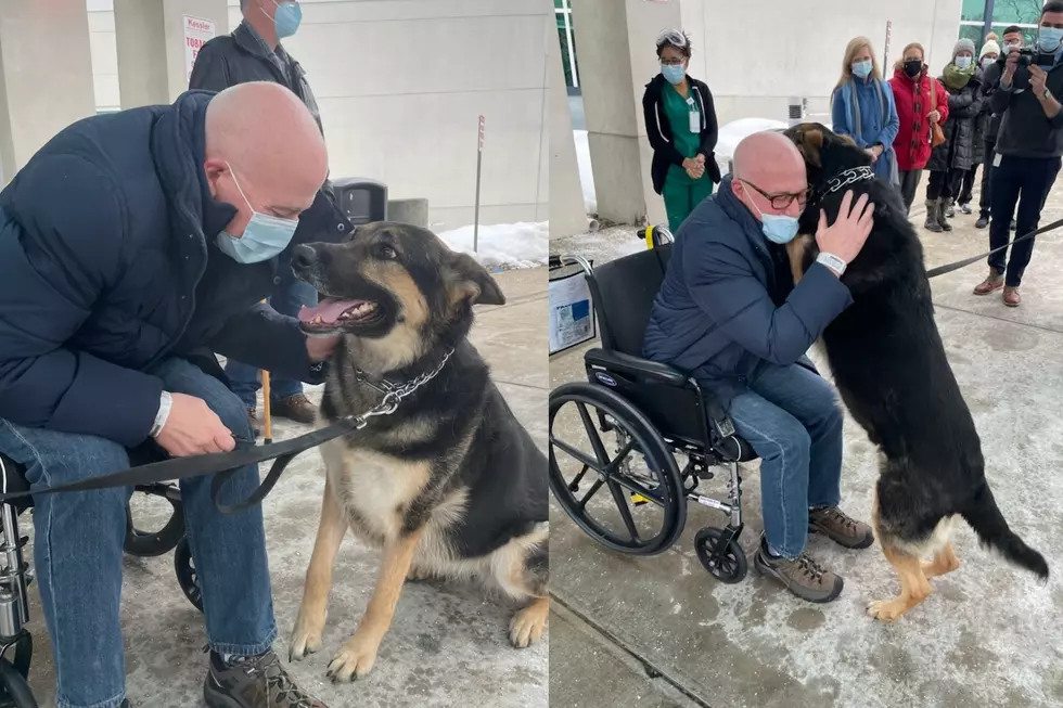 NJ man and dog who rescued him have emotional reunion