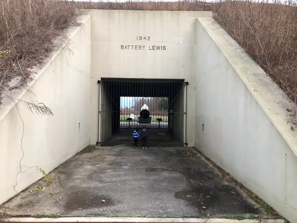 Exploring wartime history at Hartshorne Woods Park