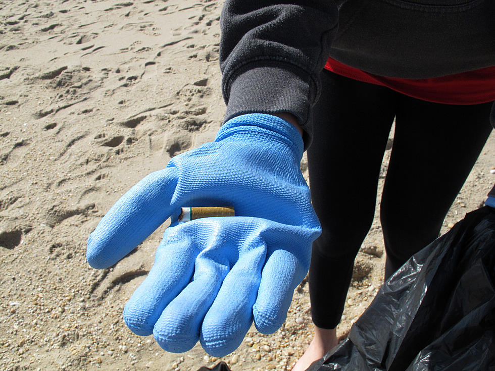 Volunteers needed for annual beach cleanup
