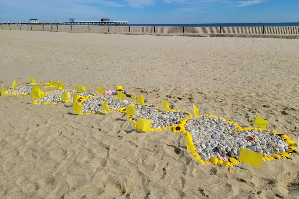 Wall, NJ welcomes Belmar beach COVID memorial to permanent home