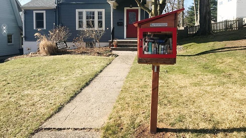 Some ‘Karen’ complains about Little Free Library — NJ Top News 3/24