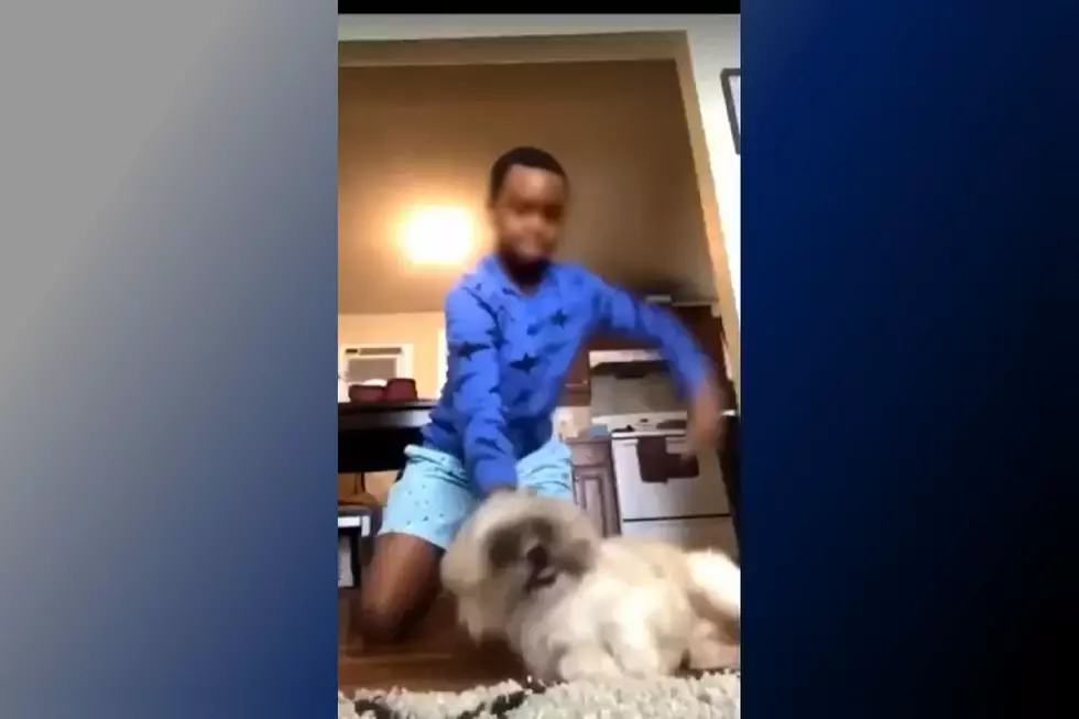 Atlantic City Cops Investigate After Boy Brutally Beats Small Dog in Video