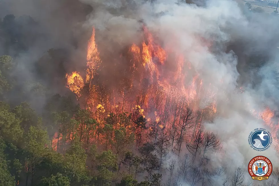 Wildfire Danger is Shooting Higher in NJ