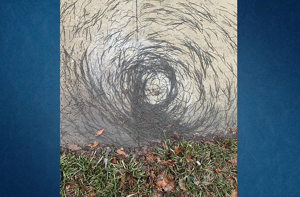 The Mysterious Worm Tornado We Hope to Never See in NY